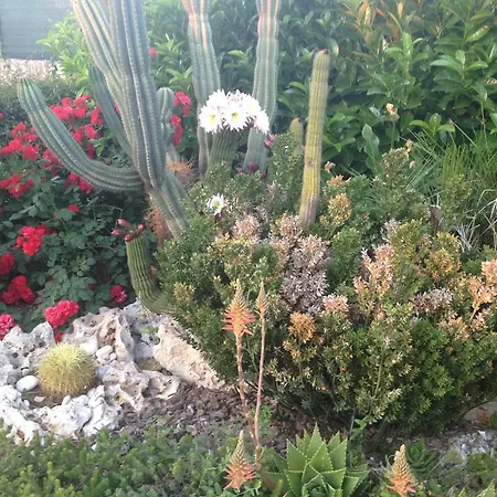 Masseria Casale Dei Fornici * Polignano a Mare